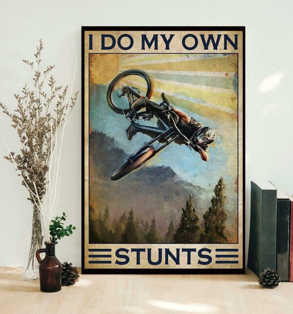 Biker I do my own sturns poster