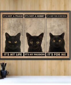 Black Cat its not a phase its not a hobby landscape canvas 2