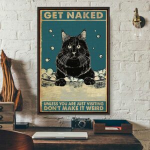 Black cat get naked poster