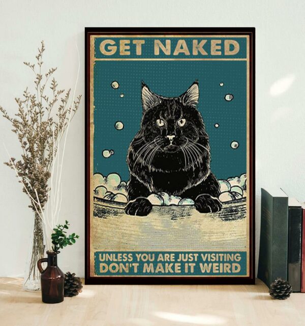 Black cat get naked poster