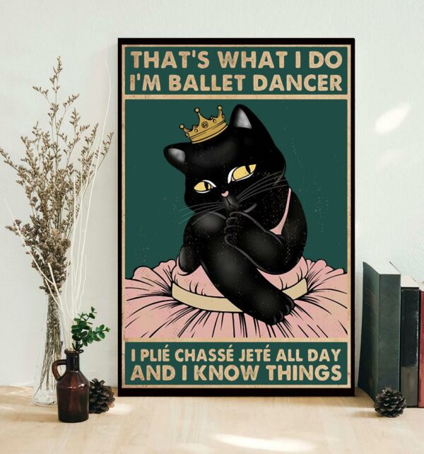 Black cat that what I do I’m ballet dancer poster