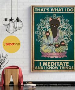 Black cat thats what I do I meditate and I know things poster 1