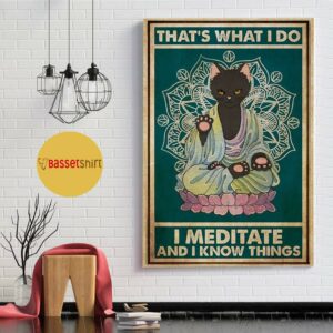 Black cat that’s what I do I meditate and I know things poster