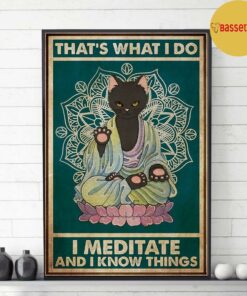Black cat thats what I do I meditate and I know things poster 3