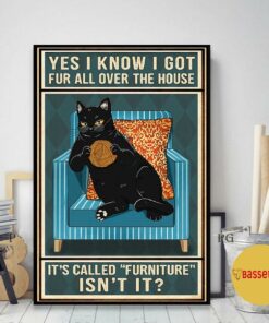 Black cat yes I know I got fur all over the house poster 1