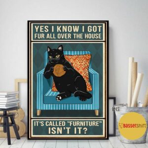 Black cat yes I know I got fur all over the house poster 1