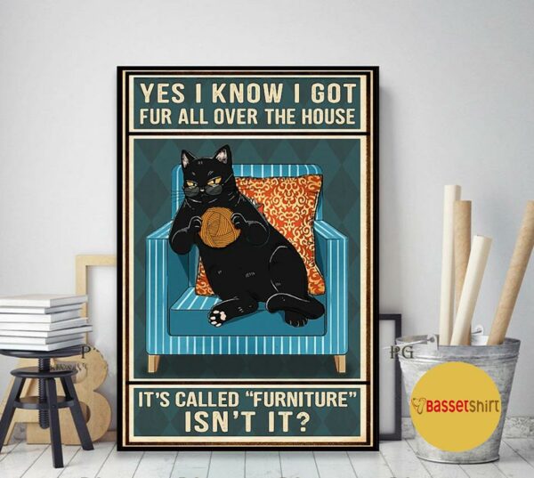 Black cat yes I know I got fur all over the house poster