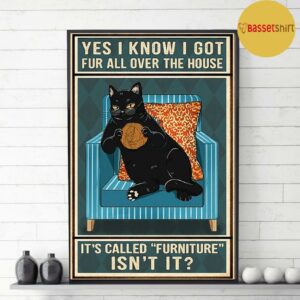 Black cat yes I know I got fur all over the house poster