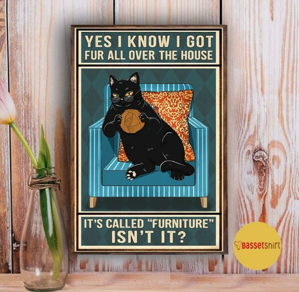 Black cat yes I know I got fur all over the house poster