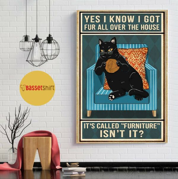 Black cat yes I know I got fur all over the house poster