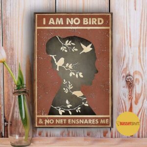 Book poster I am no bird and no net ensnares me 3