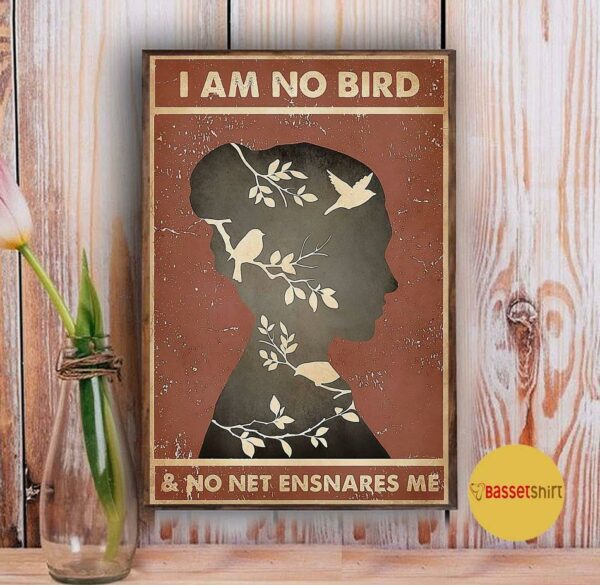 Book poster I am no bird and no net ensnares me