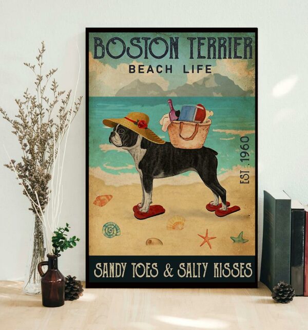 Boston Terrier beach life sandy toes and salty kisses poster canvas