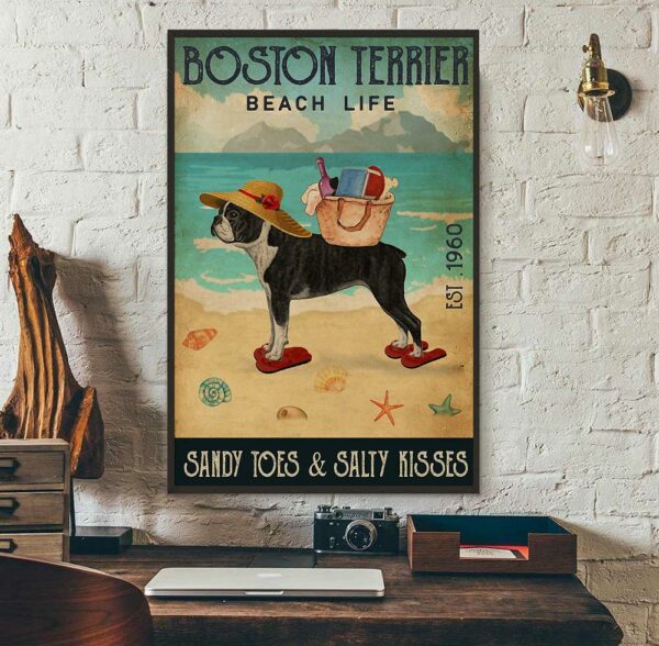 Boston Terrier beach life sandy toes and salty kisses poster canvas