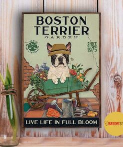 Boston Terrier garden live life in full bloom poster canvas 2 Boston Terrier garden live life in full bloom poster canvas 3