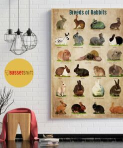 Breed Of Rabbits poster canvas 1