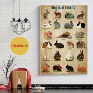 Breed Of Rabbits poster canvas 1