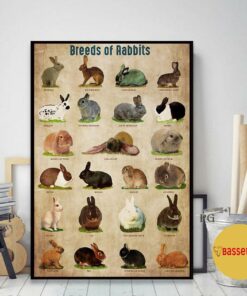 Breed Of Rabbits poster canvas 1 Breed Of Rabbits poster canvas 2