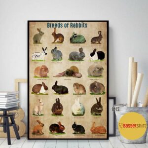 Breed Of Rabbits poster canvas