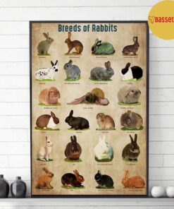 Breed Of Rabbits poster canvas 2 Breed Of Rabbits poster canvas 3
