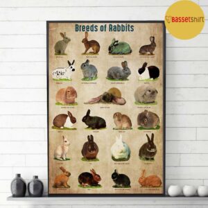 Breed Of Rabbits poster canvas 3