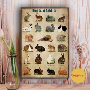 Breed Of Rabbits poster canvas 5