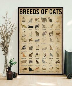 Breeds Of Cats vertical poster 1