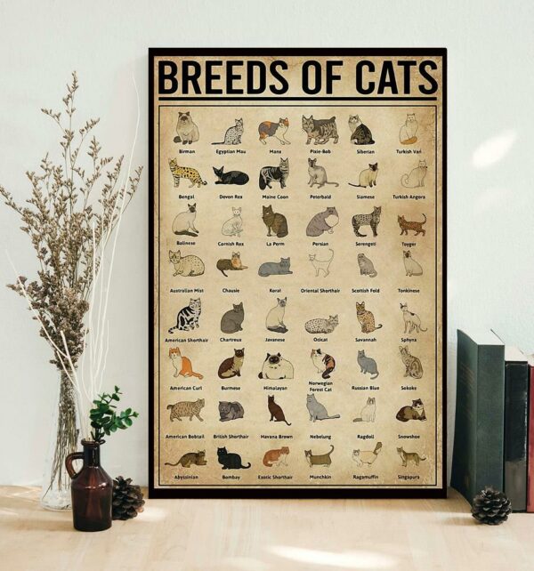 Breeds Of Cats vertical poster