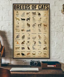Breeds Of Cats vertical poster 3