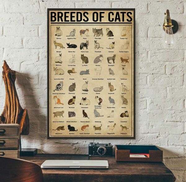 Breeds Of Cats vertical poster