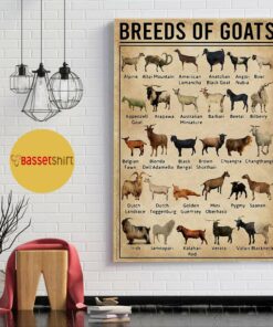 Breeds of Goat poster canvas 1