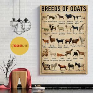 Breeds of Goat poster canvas