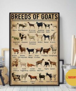 Breeds of Goat poster canvas 2