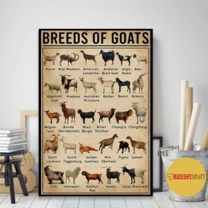 Breeds of Goat poster canvas 2