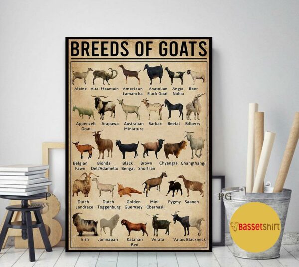 Breeds of Goat poster canvas