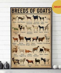 Breeds of Goat poster canvas 3