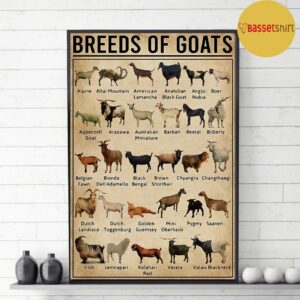 Breeds of Goat poster canvas 3