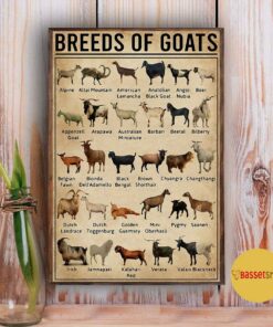 Breeds of Goat poster canvas 5
