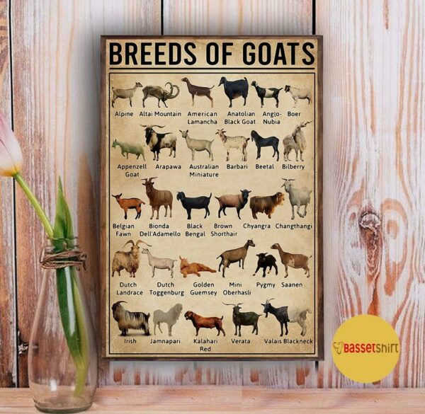 Breeds of Goat poster canvas