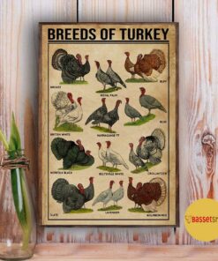 Breeds of Turkey Thanksgiving vertical poster 2 Breeds of Turkey Thanksgiving vertical poster 3