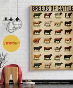 Breeds of cattle poster canvas 1