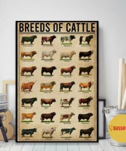 Breeds of cattle poster canvas 2