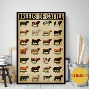 Breeds of cattle poster canvas