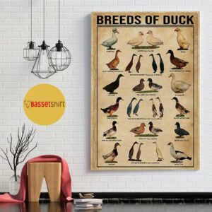 Breeds of duck print canvas