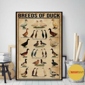 Breeds of duck print canvas