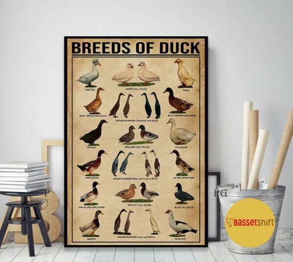 Breeds of duck print canvas