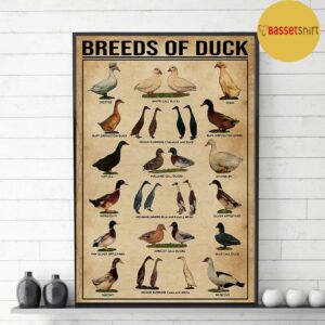 Breeds of duck print canvas 3