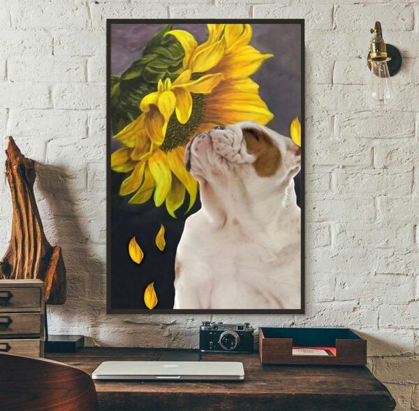 Bulldog Sunflower poster canvas