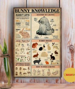 Bunny Knowledge vertical canvas 2 Bunny Knowledge vertical canvas 3