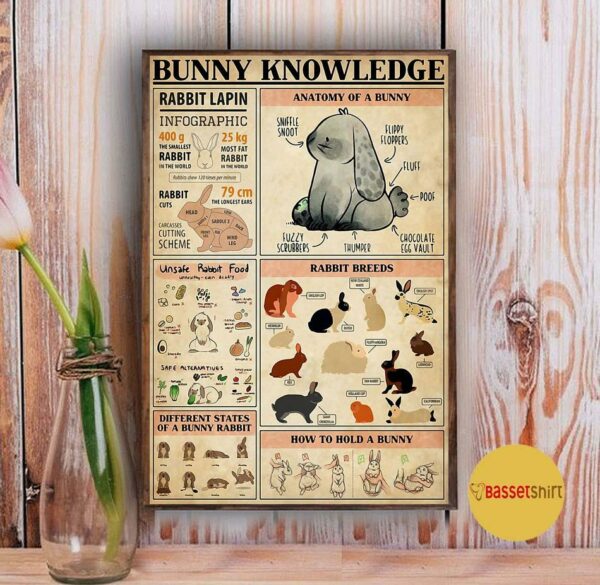 Bunny Knowledge vertical canvas